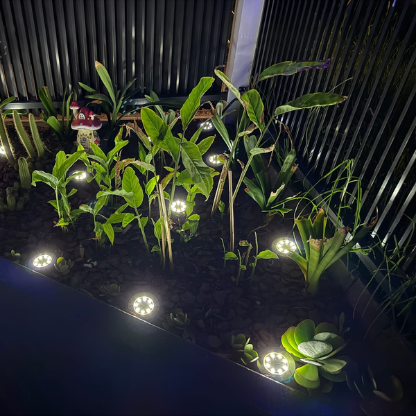 36.000+ customers love our lamps