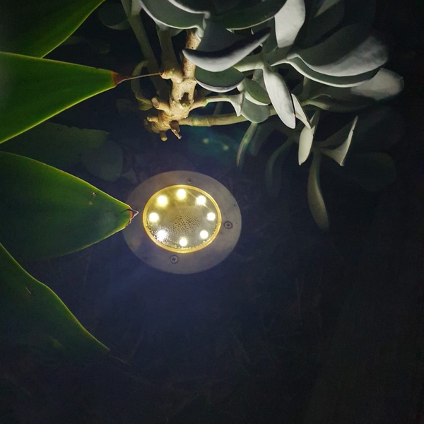 36.000+ customers love our lamps